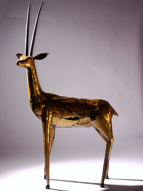 Scimitar Oryx - Image 2