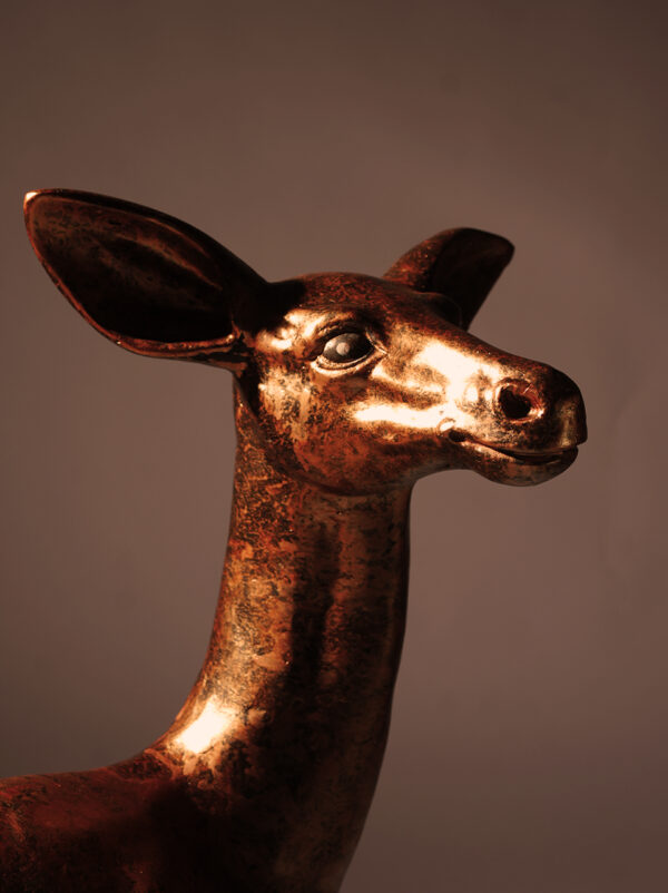 DEER - Image 2