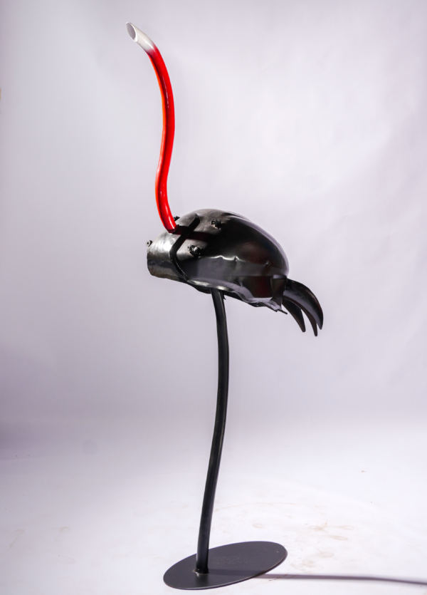 CELESTIAL SWAN