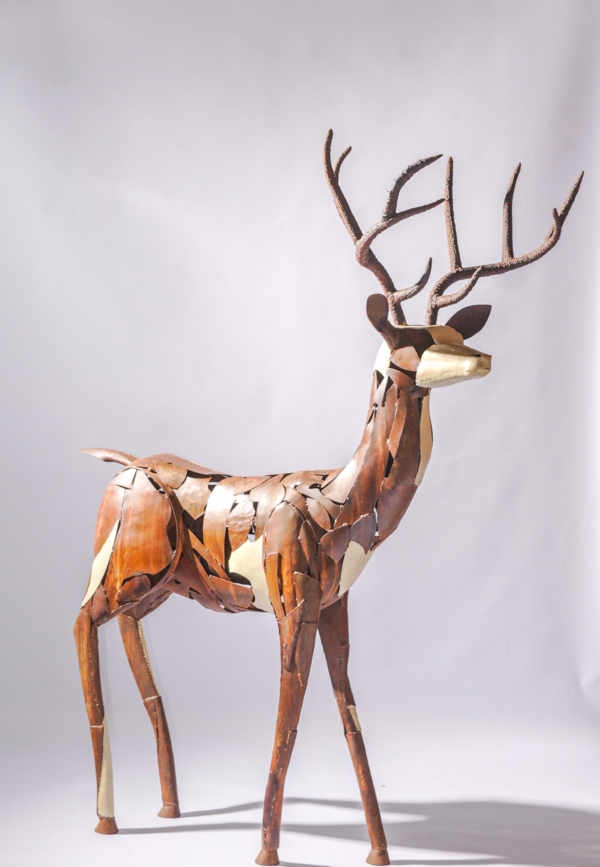 BARASINGHA