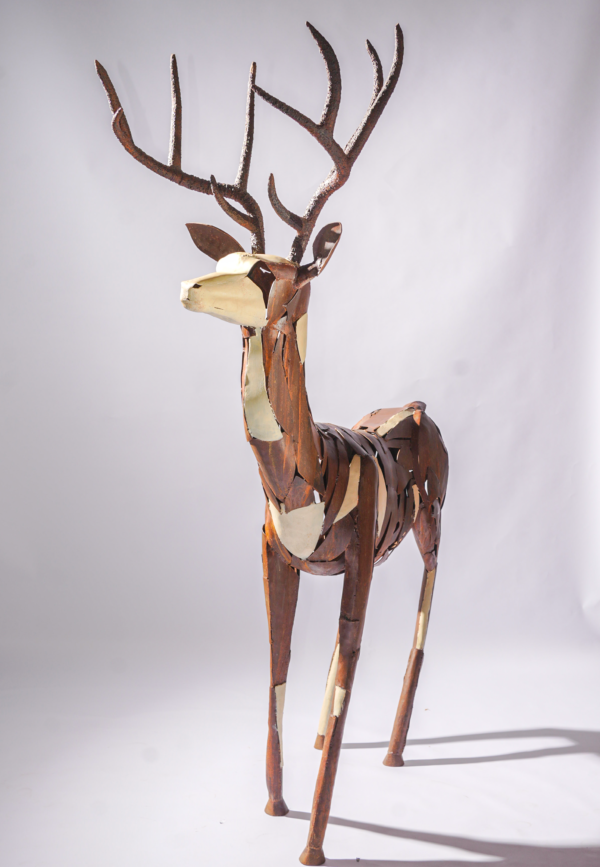 BARASINGHA - Image 3